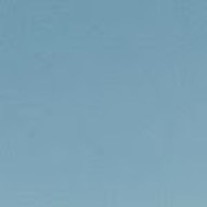 Meet your Posher, Rory